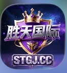胜天国际